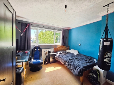 Picture 38